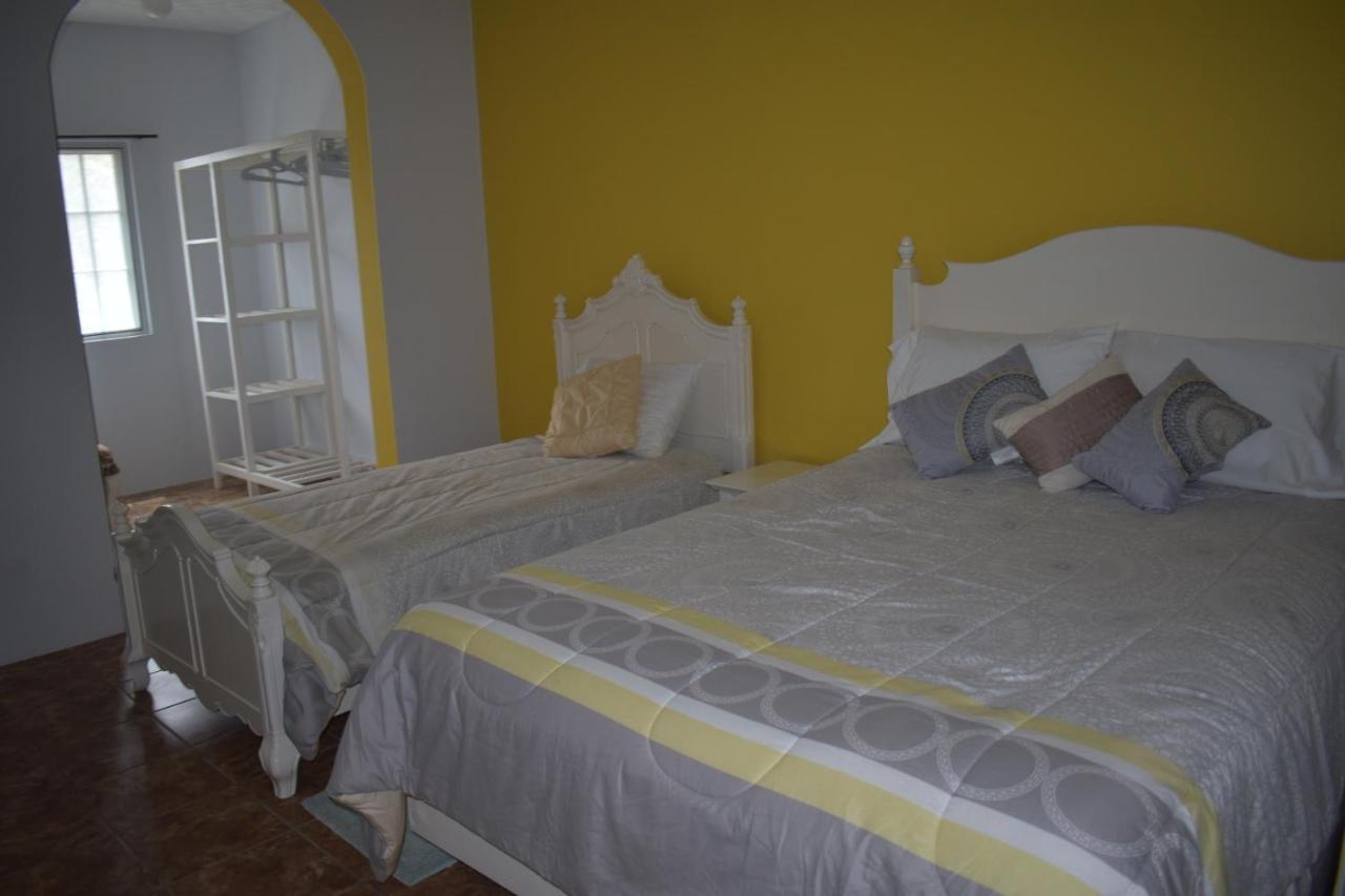 Villa Vicente Vila Nova Sintra Ngoại thất bức ảnh
