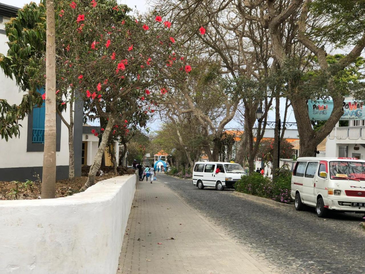 Villa Vicente Vila Nova Sintra Ngoại thất bức ảnh